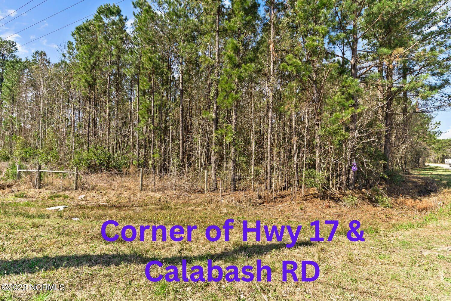 17 Acres Hwy 17 Property Photo 28