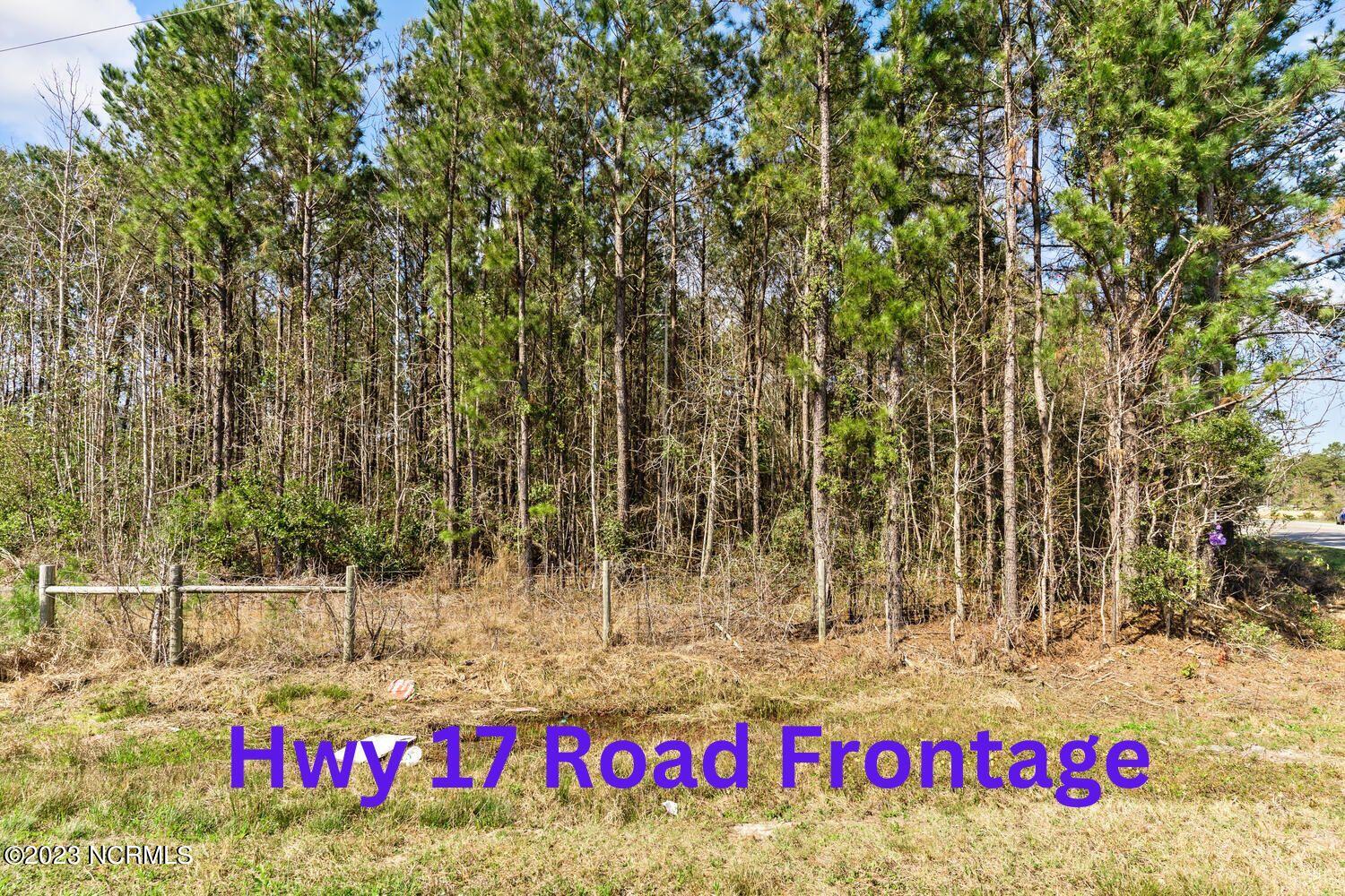 17 Acres Hwy 17 Property Photo 30