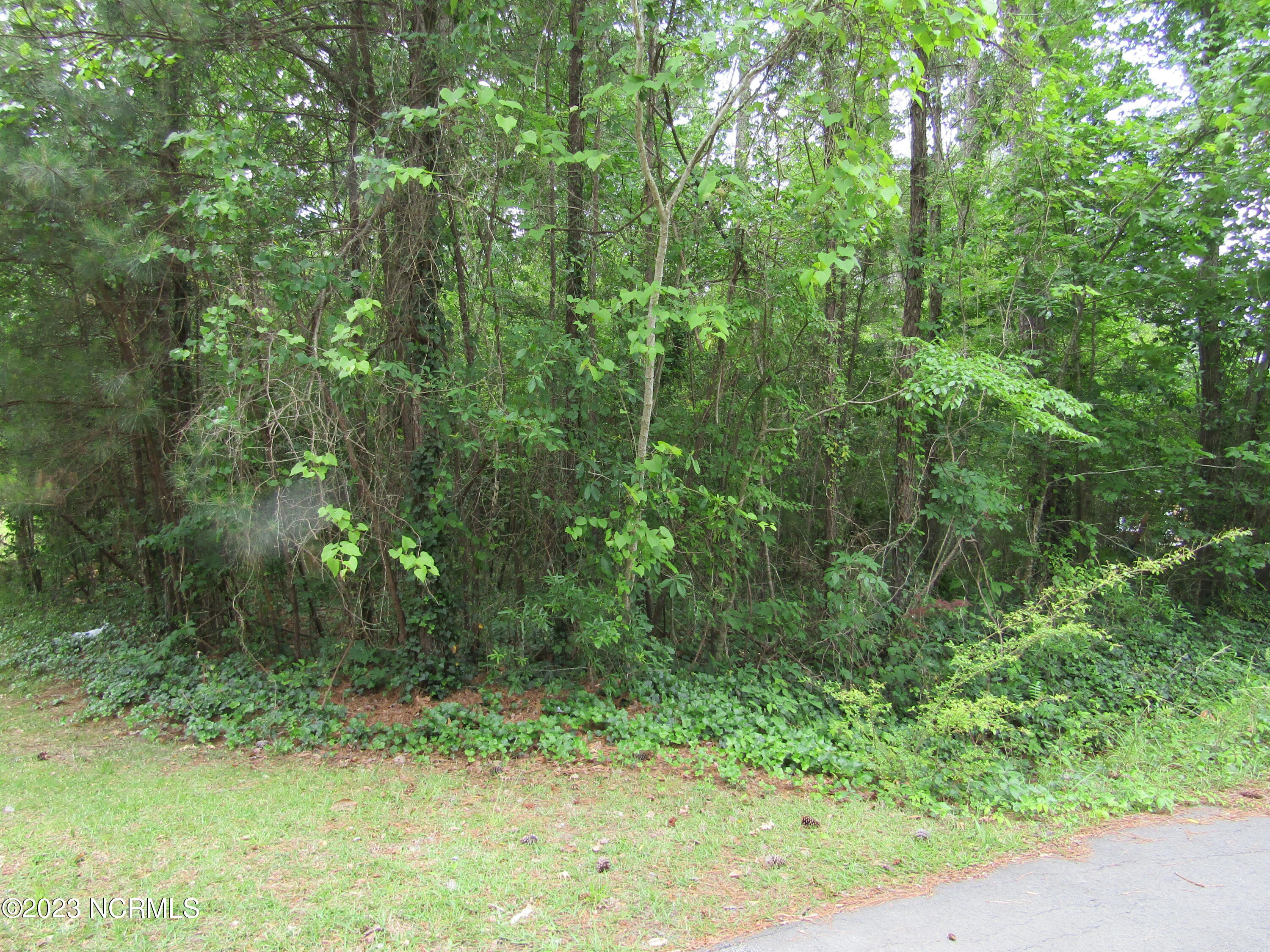 Lot 8 Quail Drive Property Photo 5