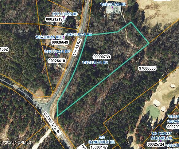 1195 Lucas Road Property Photo 1