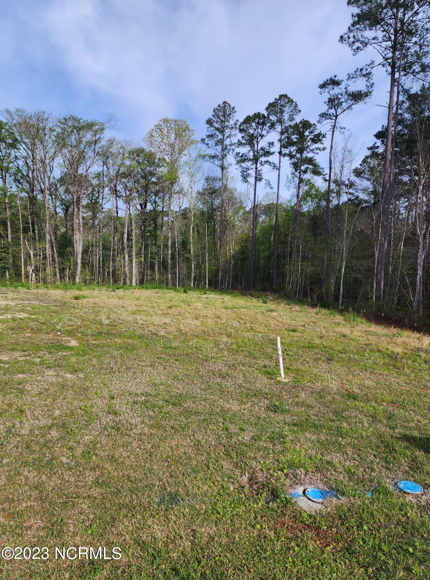 3008 Verdant Ridge Ridge Property Photo 3