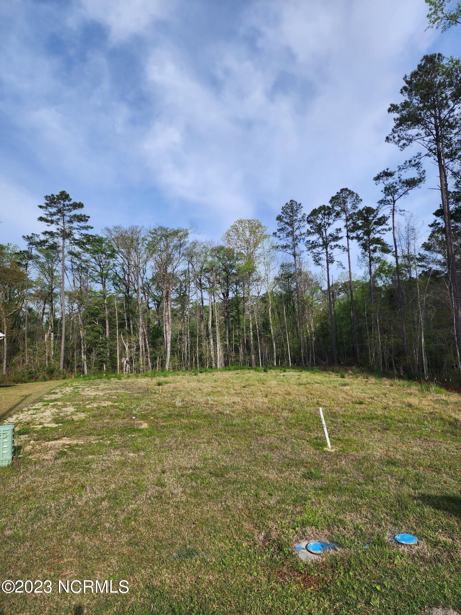 3008 Verdant Ridge Ridge Property Photo 4