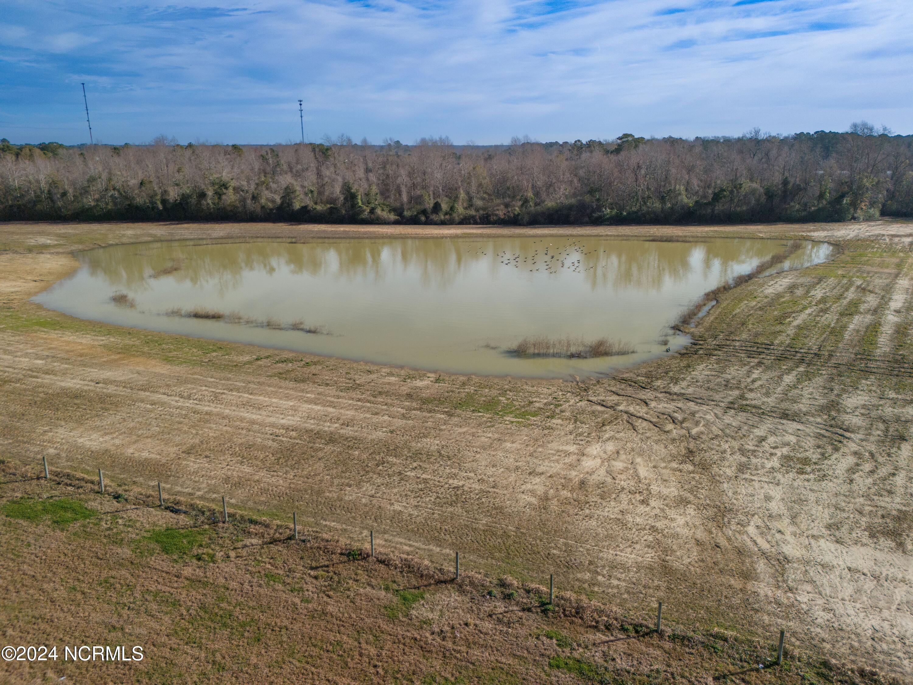 24 Acres White Oak River Road Property Photo 13
