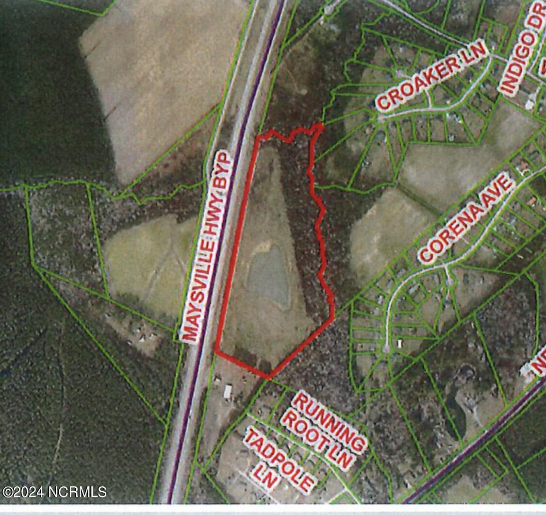 24 Acres White Oak River Road Property Photo 17