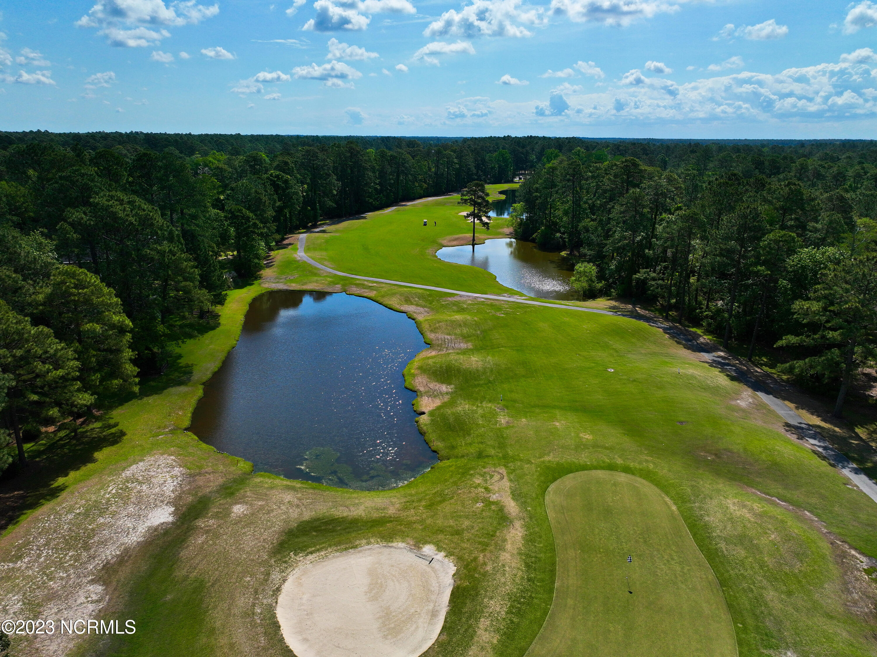 910 Bee Tree Court Property Photo 40
