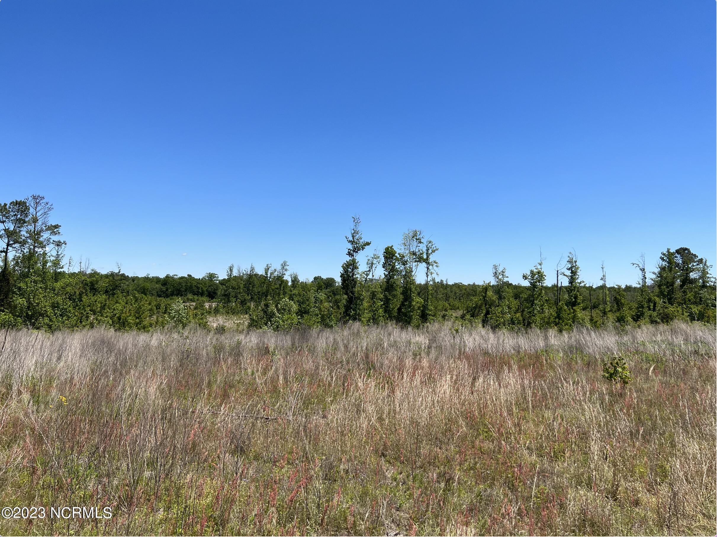 517 Mcdaniels Road Property Photo 5