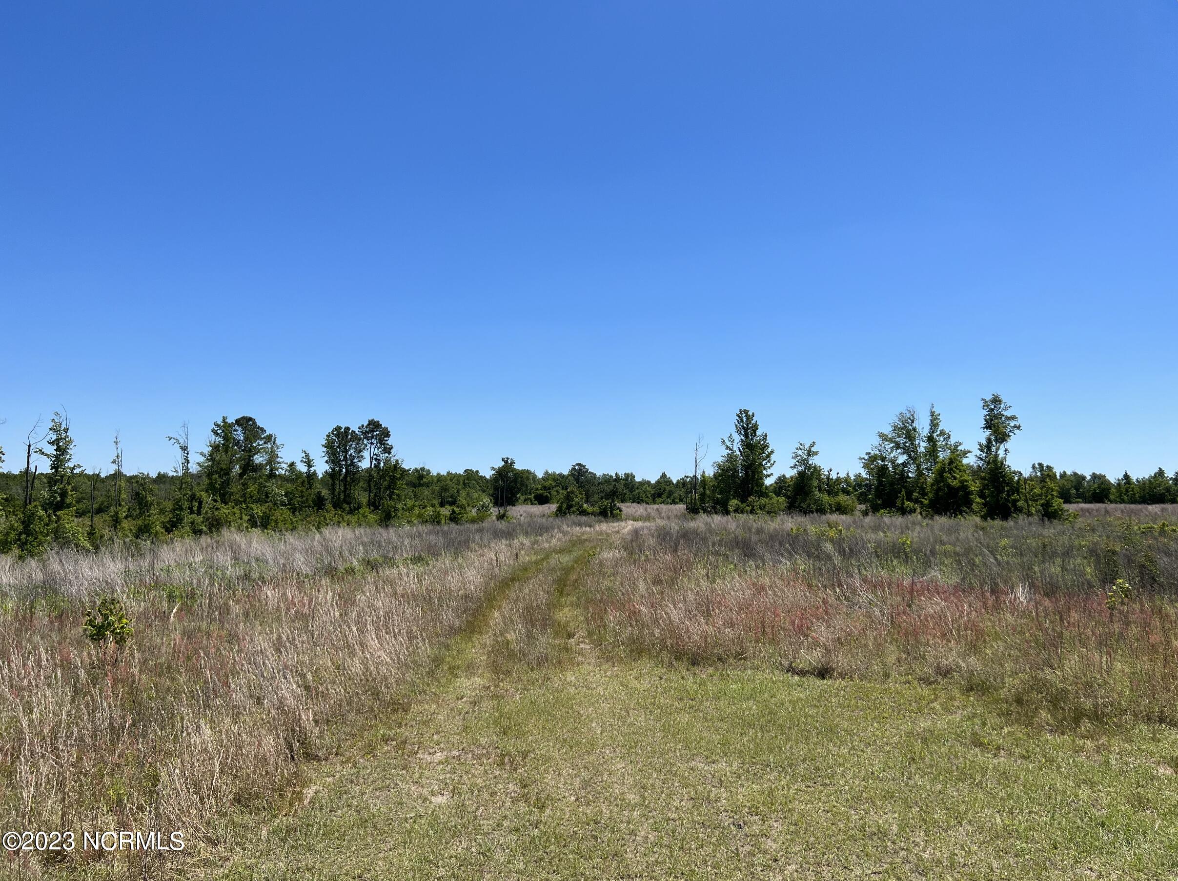517 Mcdaniels Road Property Photo 6