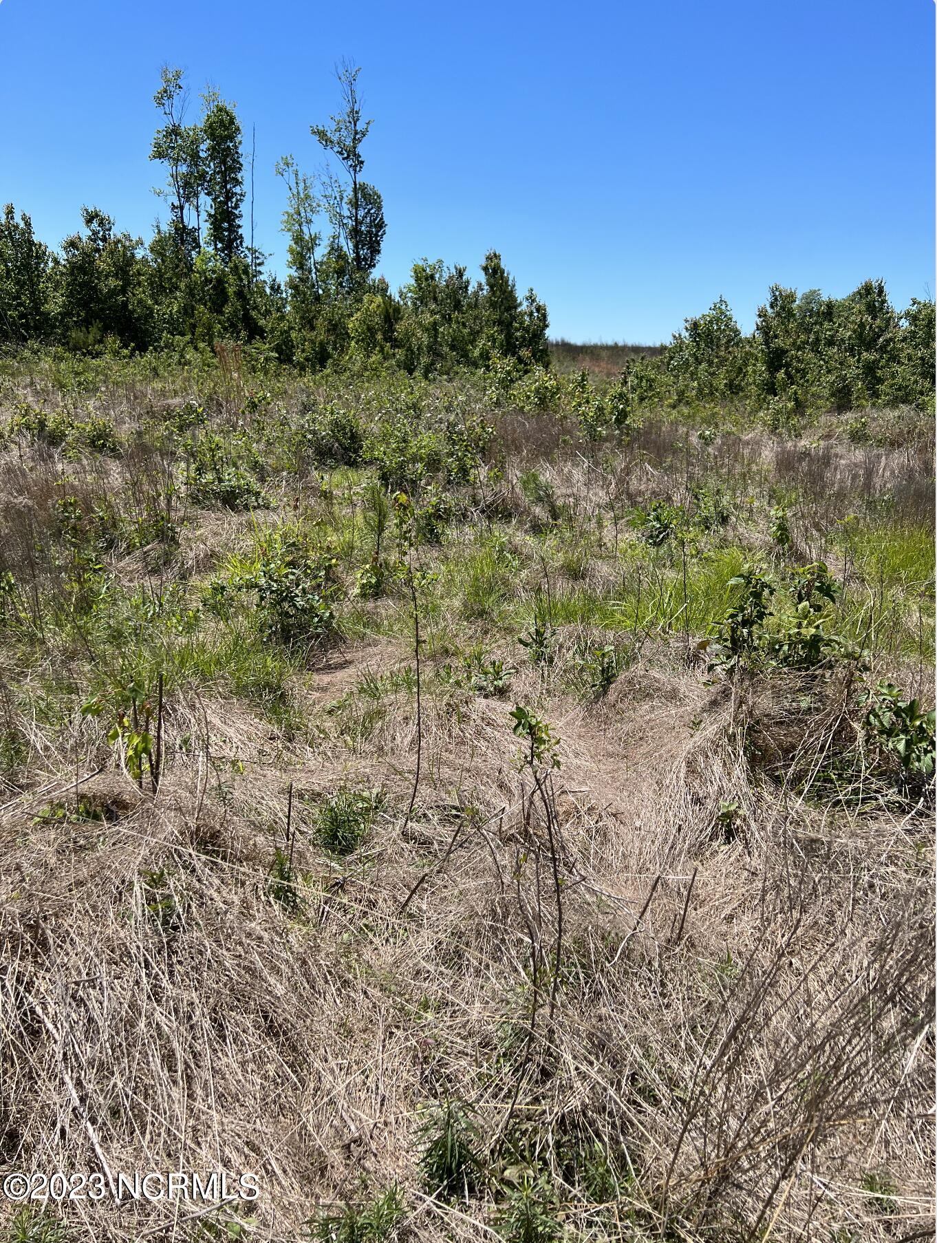 517 Mcdaniels Road Property Photo 8