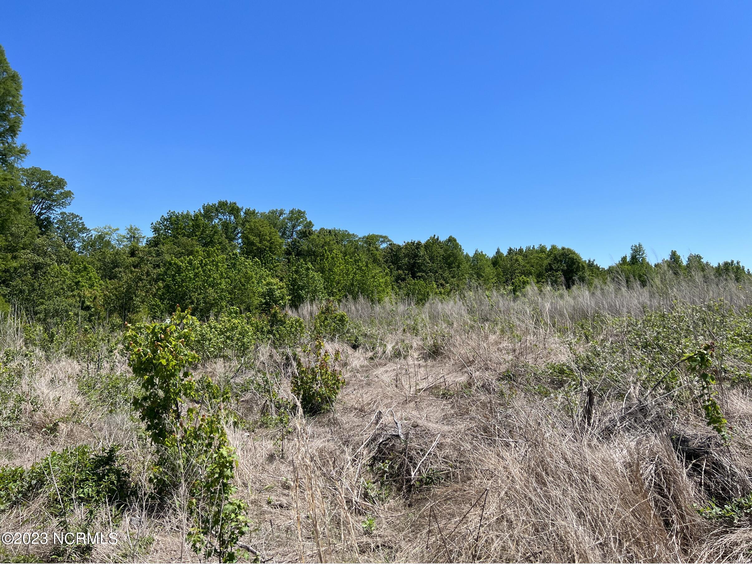 517 Mcdaniels Road Property Photo 12