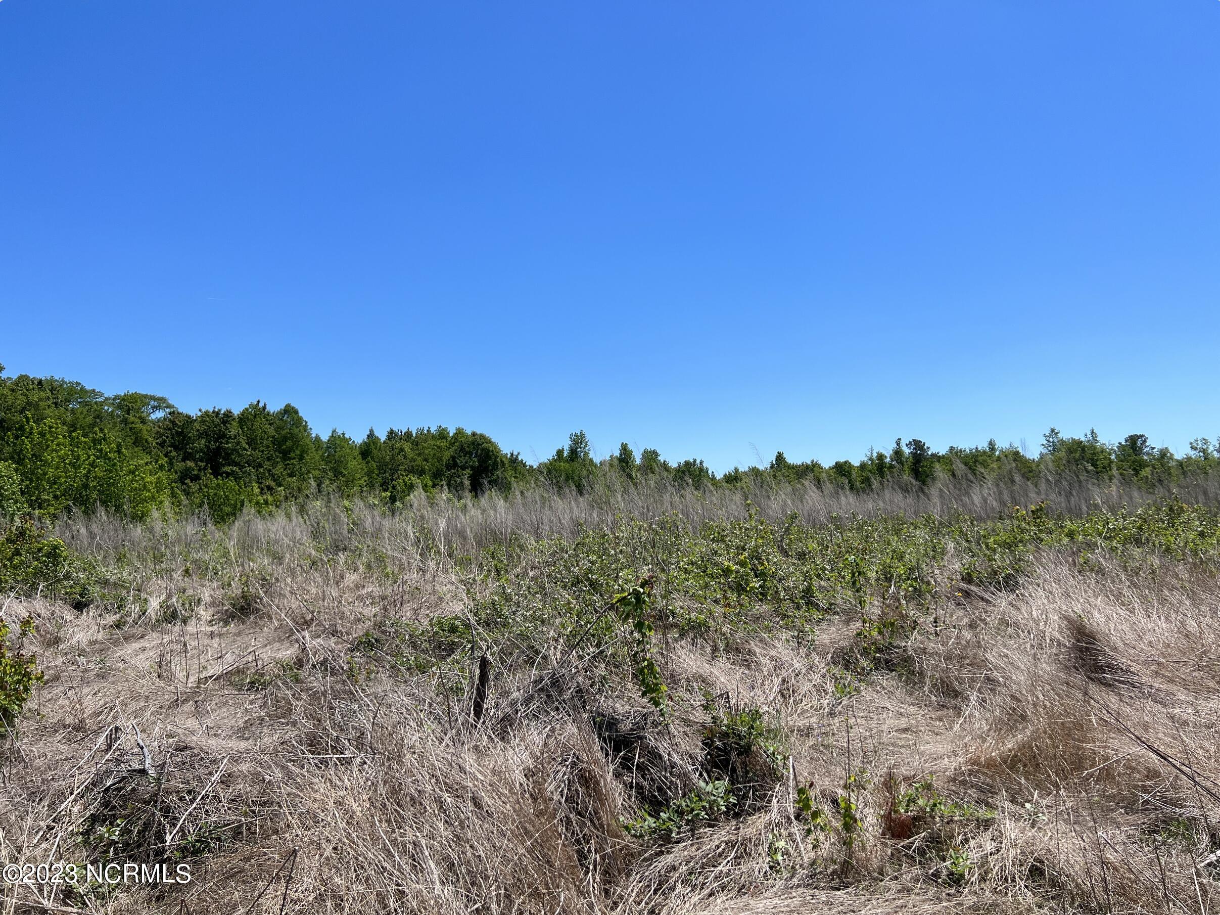 517 Mcdaniels Road Property Photo 13