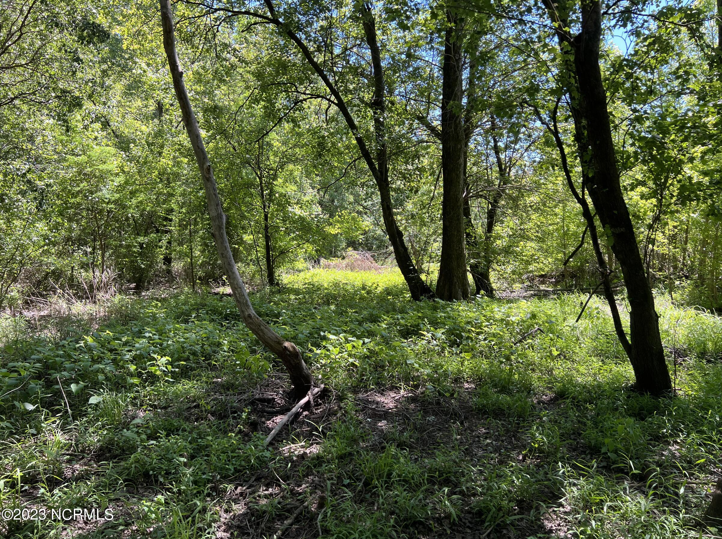 517 Mcdaniels Road Property Photo 17