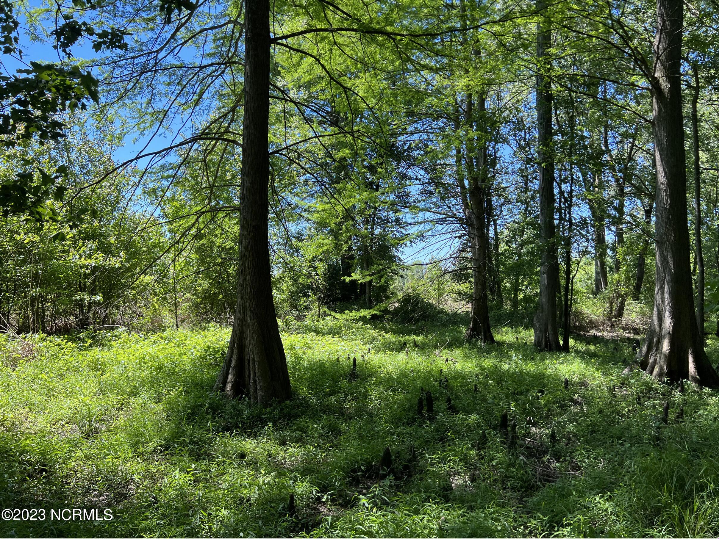 517 Mcdaniels Road Property Photo 18