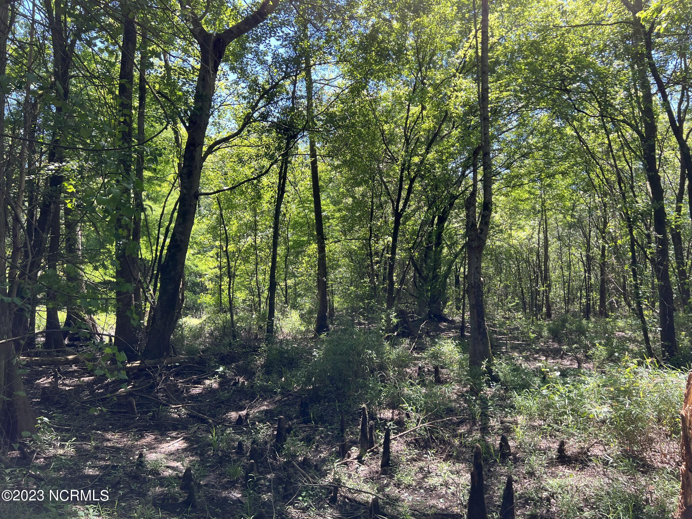 517 Mcdaniels Road Property Photo 19
