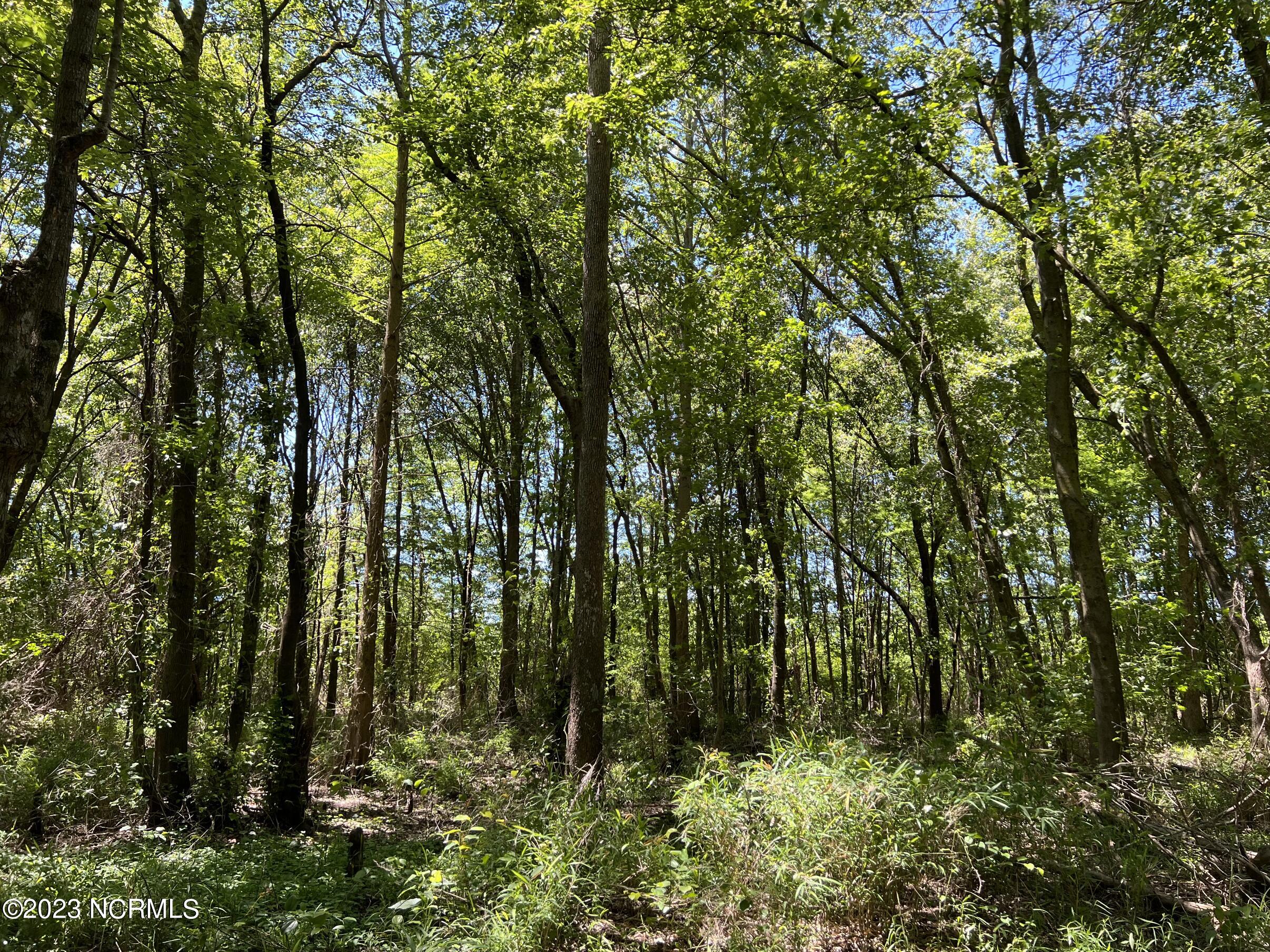 517 Mcdaniels Road Property Photo 20