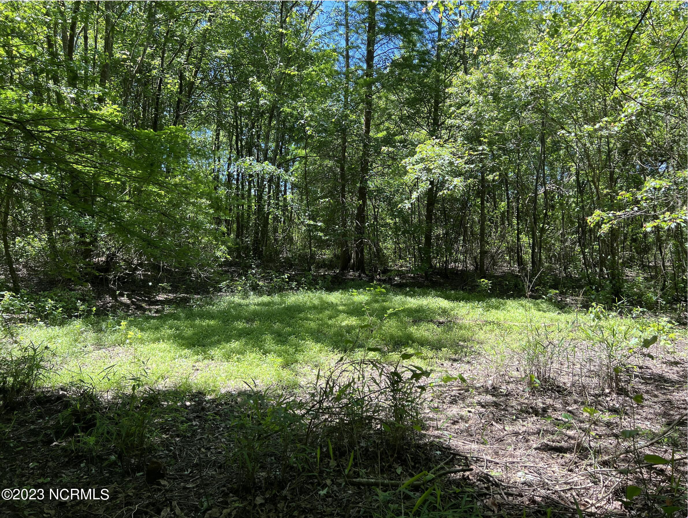 517 Mcdaniels Road Property Photo 28