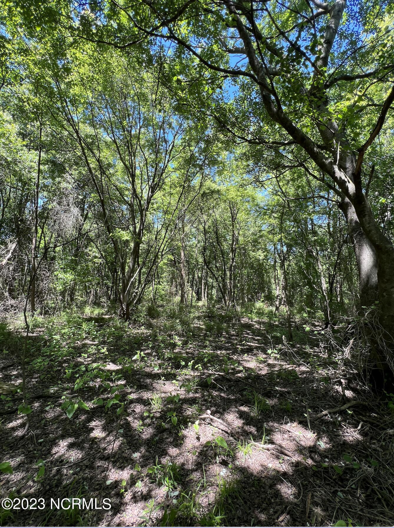 517 Mcdaniels Road Property Photo 30