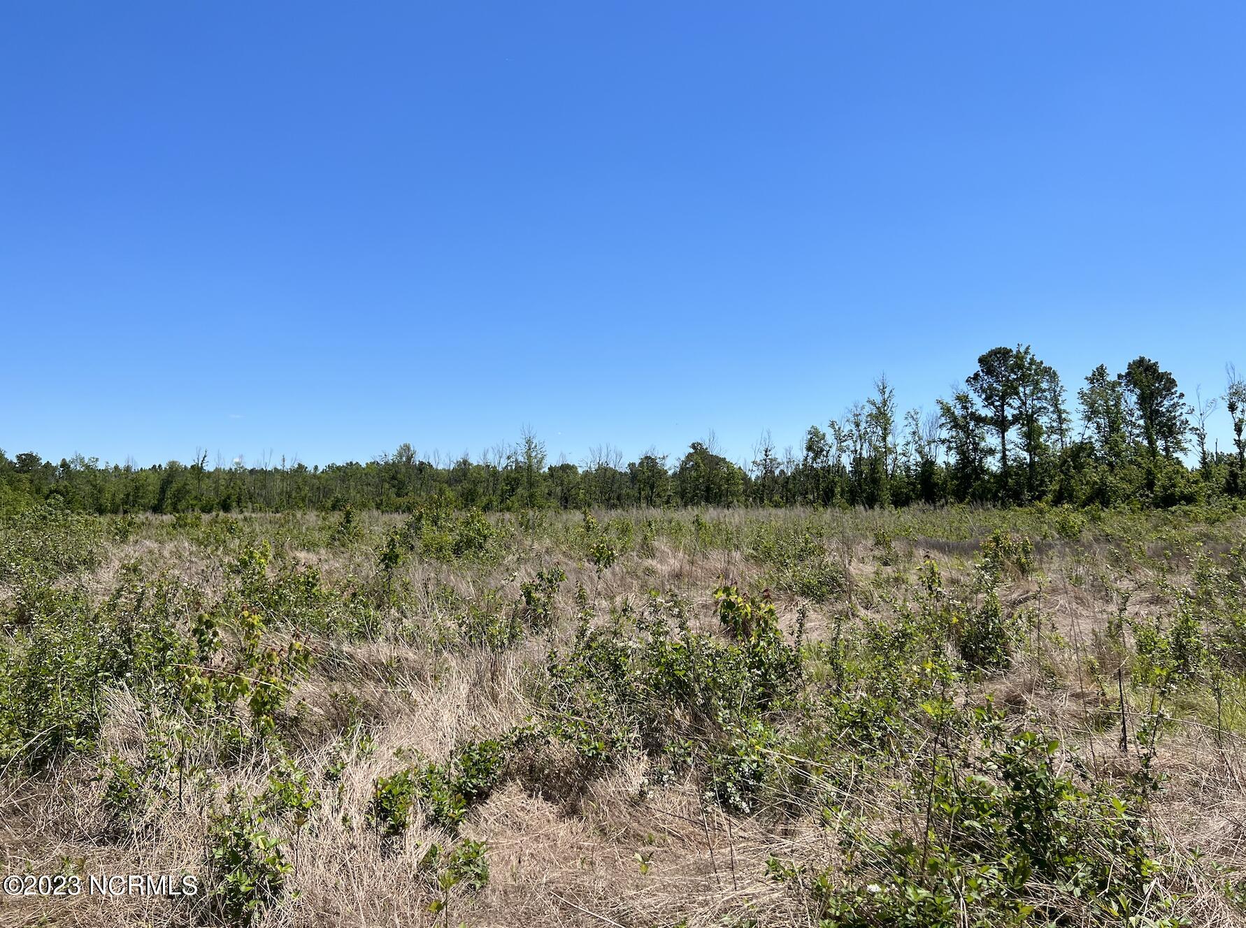 517 Mcdaniels Road Property Photo 31