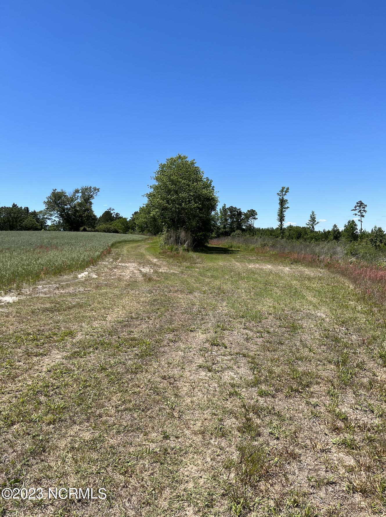 517 Mcdaniels Road Property Photo 34