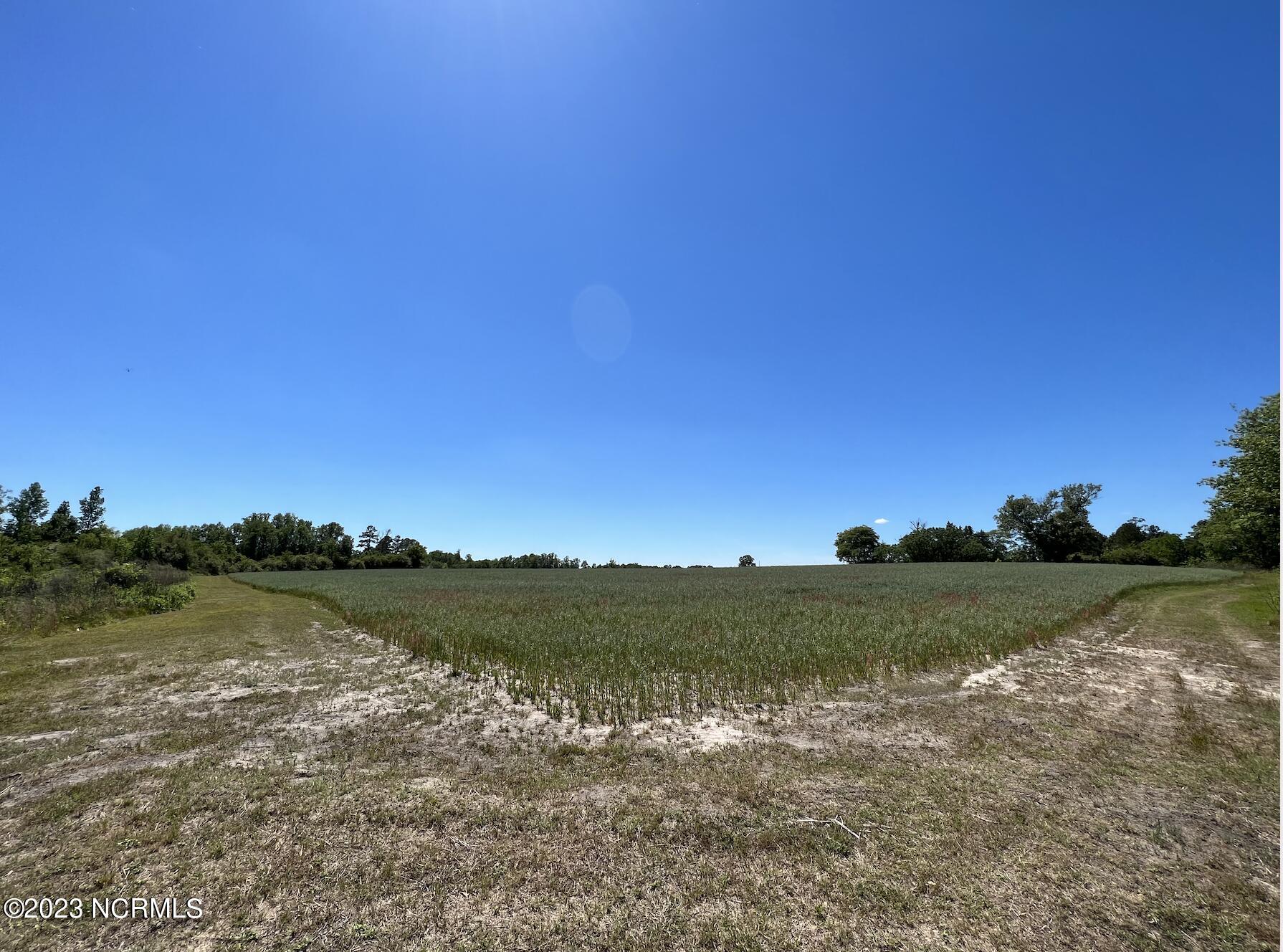 517 Mcdaniels Road Property Photo 35