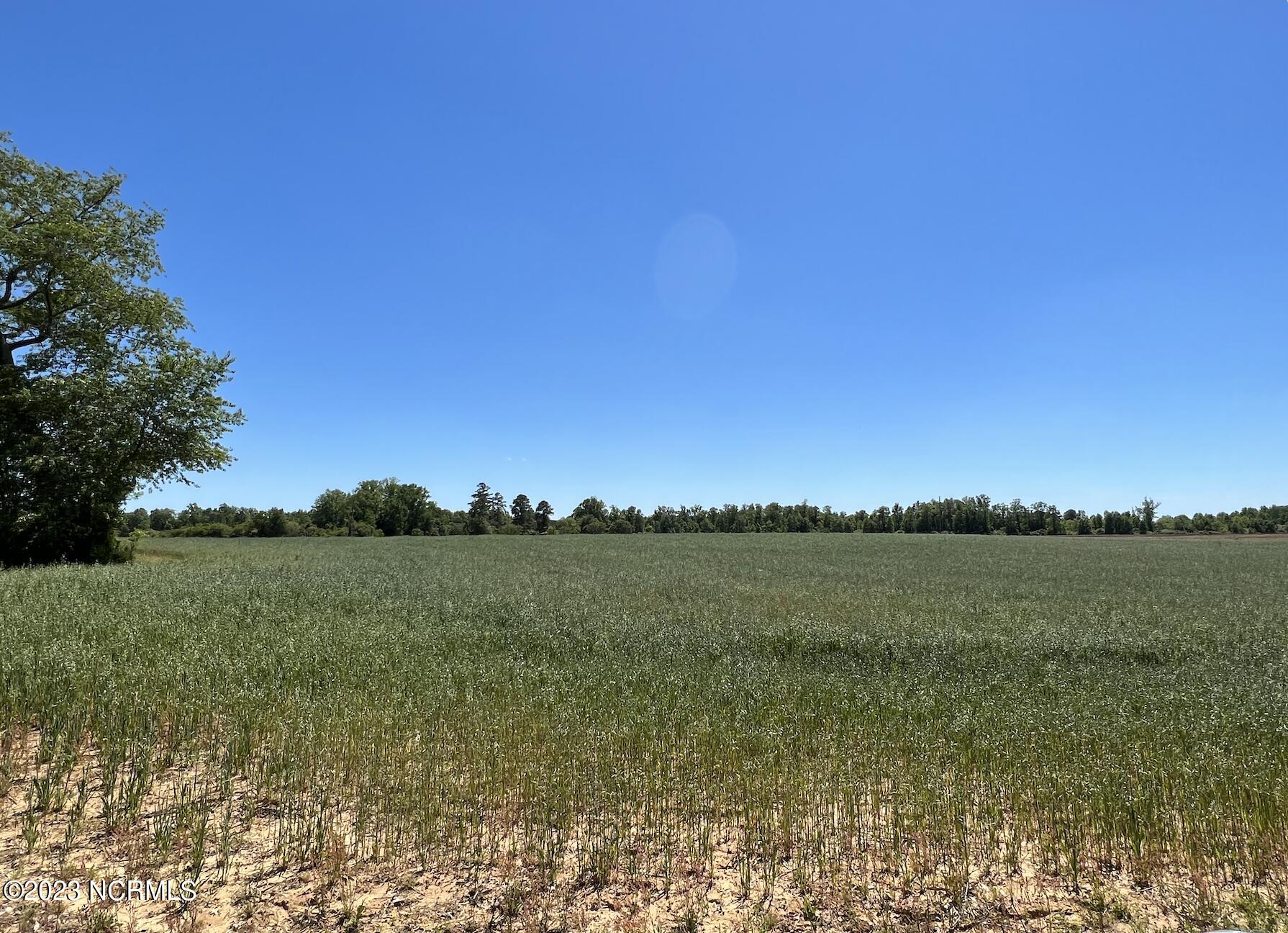 517 Mcdaniels Road Property Photo 37