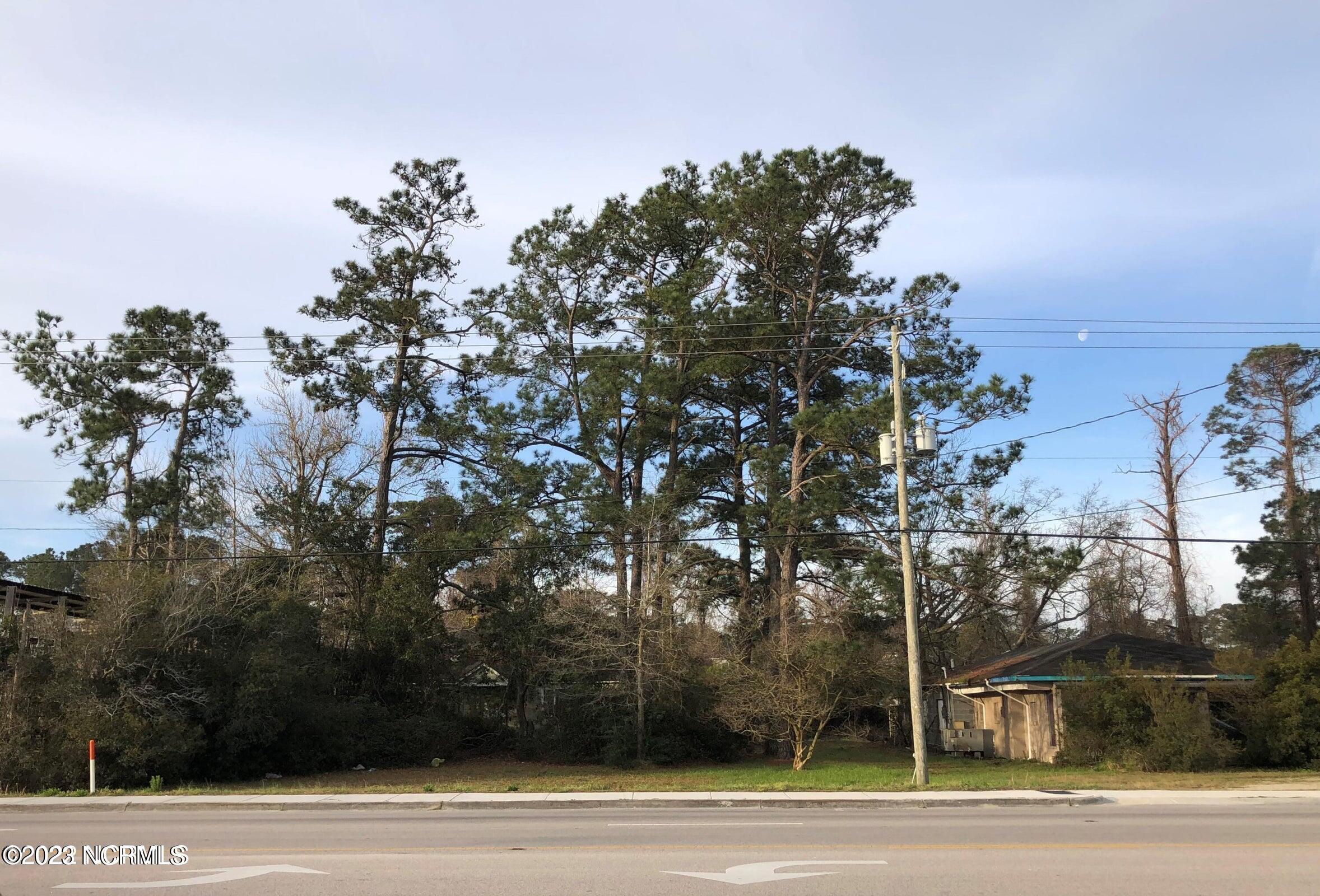 1017 W Corbett Avenue Property Photo 1