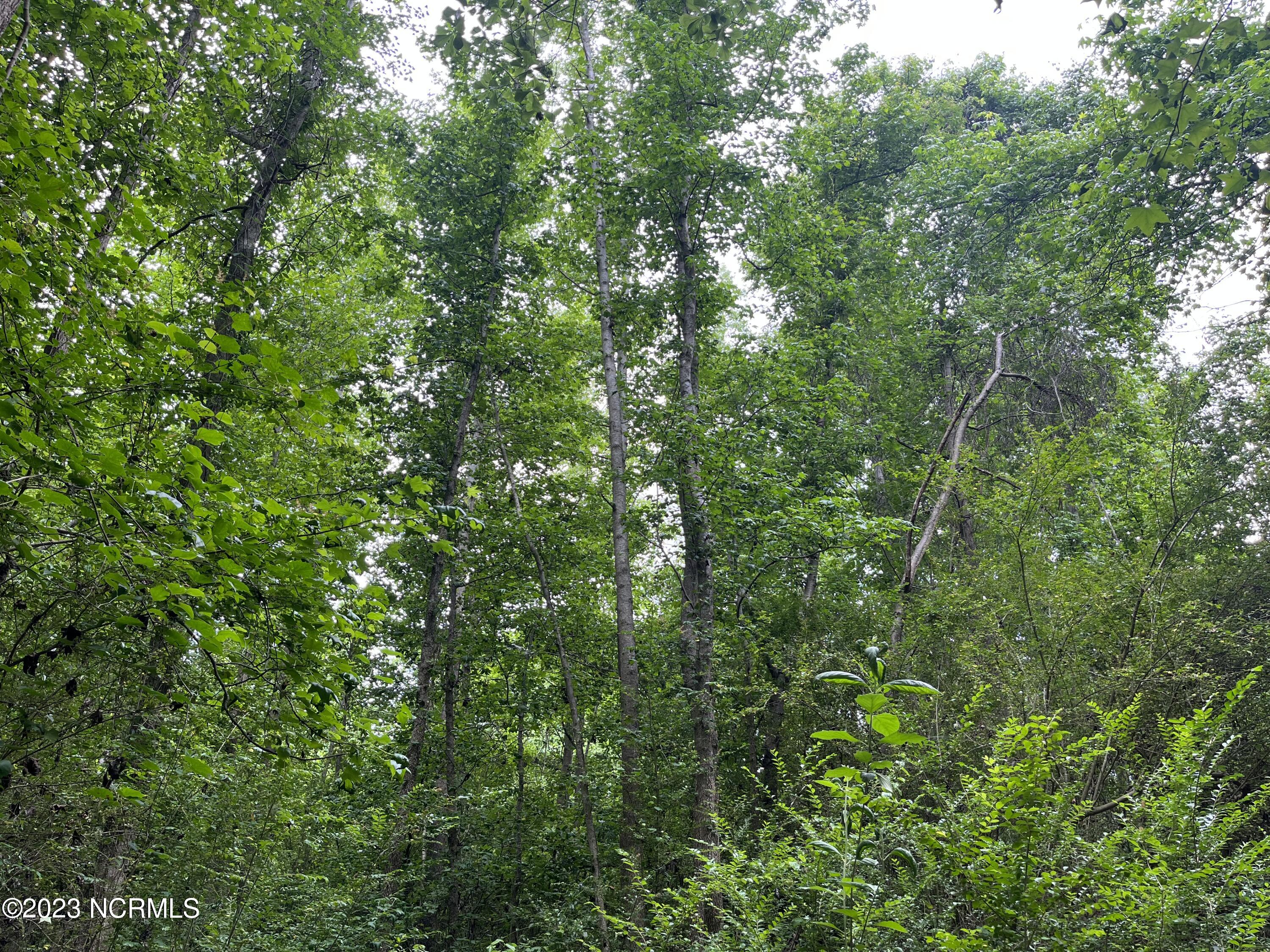 383 Gurganus Road Property Photo 4