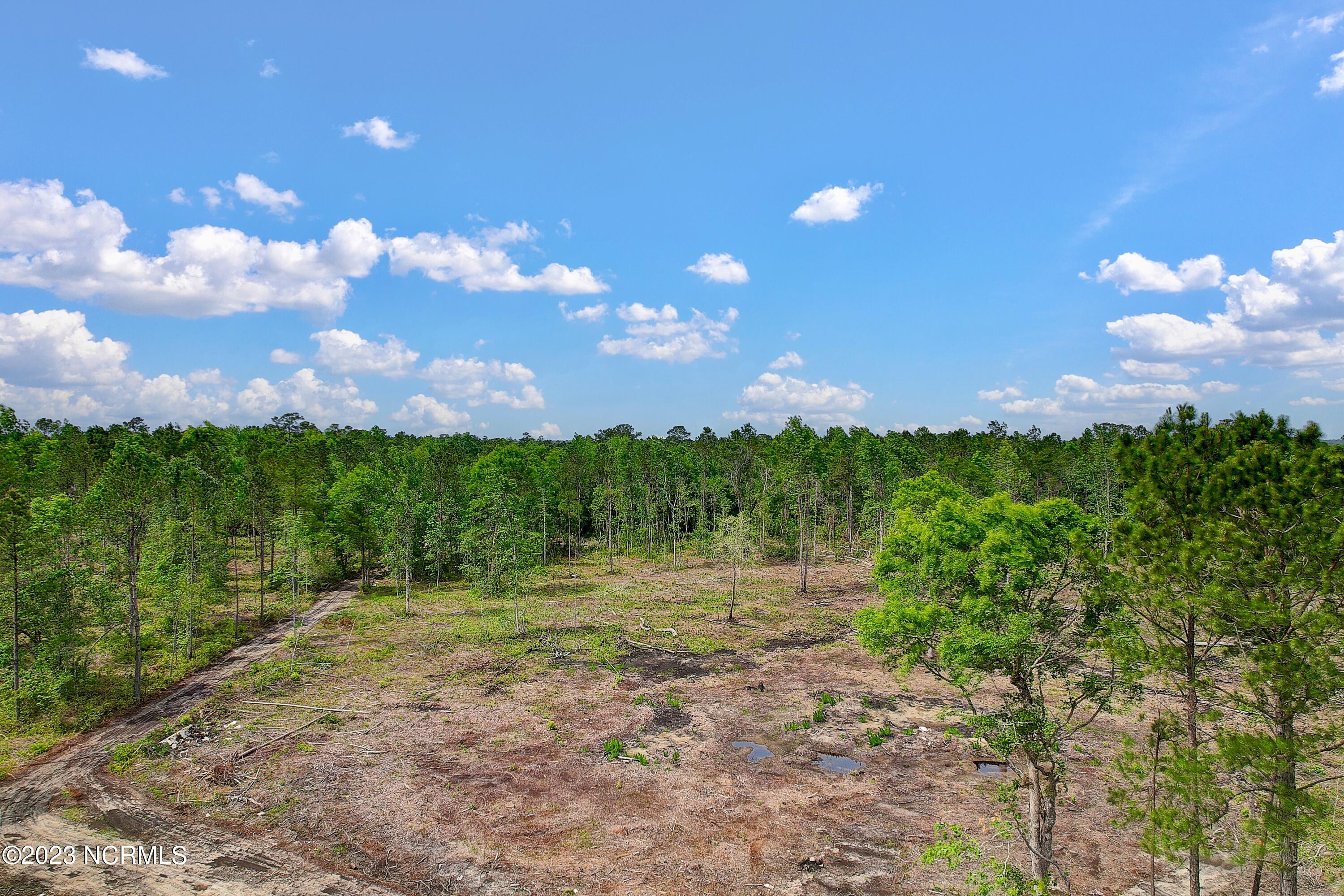 75 Ac Southport-supply Road Property Photo 1
