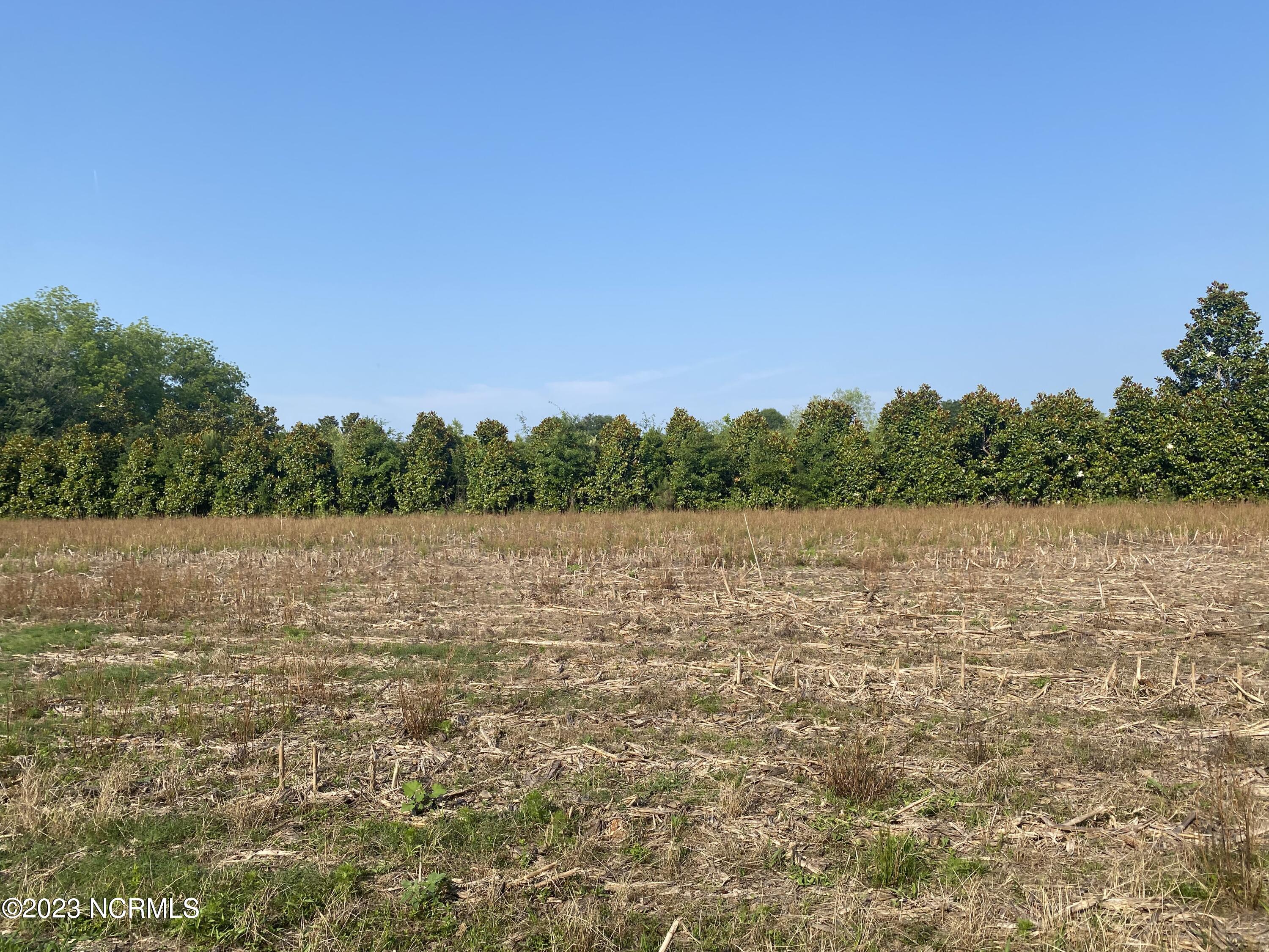 Near 8755 Andrew Jackson Highway Property Photo 1