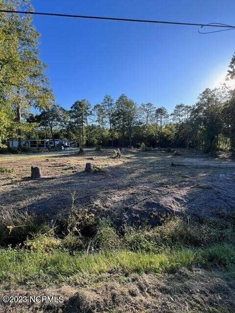 0 Nc 53 Highway Property Photo 11