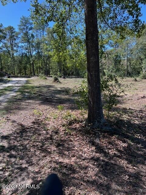 0 Nc 53 Highway Property Photo 12