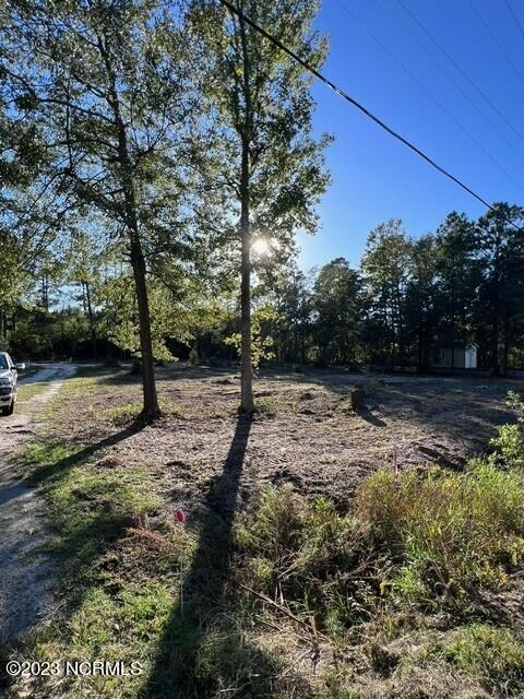 0 Nc 53 Highway Property Photo 13