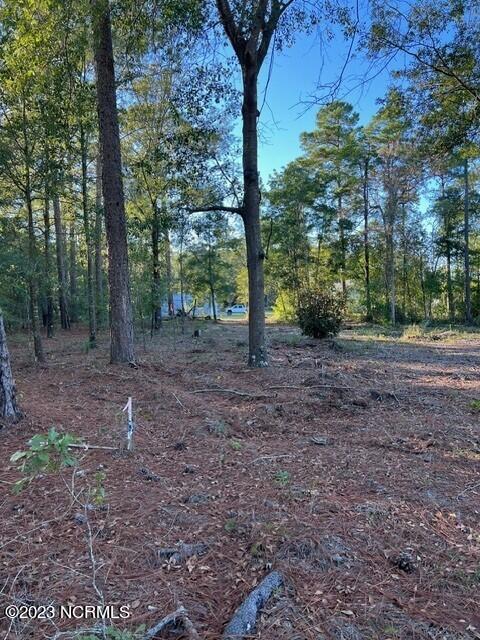 0 Nc 53 Highway Property Photo 18