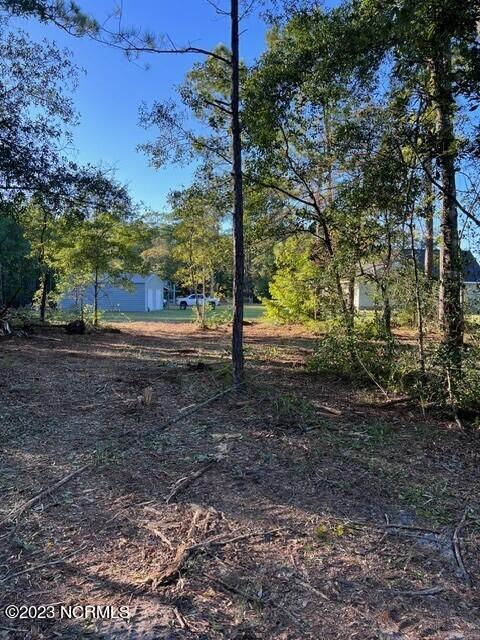0 Nc 53 Highway Property Photo 19
