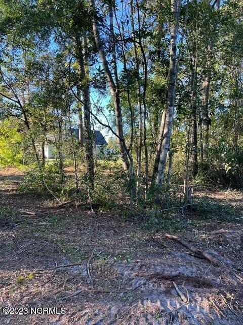 0 Nc 53 Highway Property Photo 20