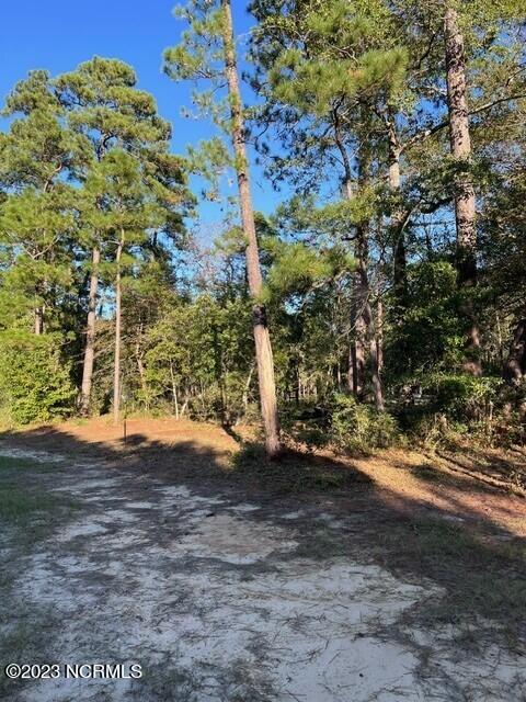 0 Nc 53 Highway Property Photo 21