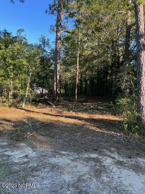 0 Nc 53 Highway Property Photo 23