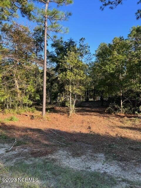 0 Nc 53 Highway Property Photo 24