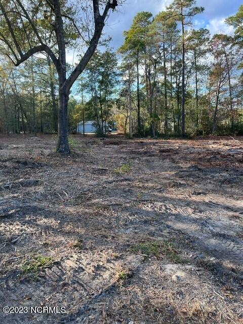 0 Nc 53 Highway Property Photo 33