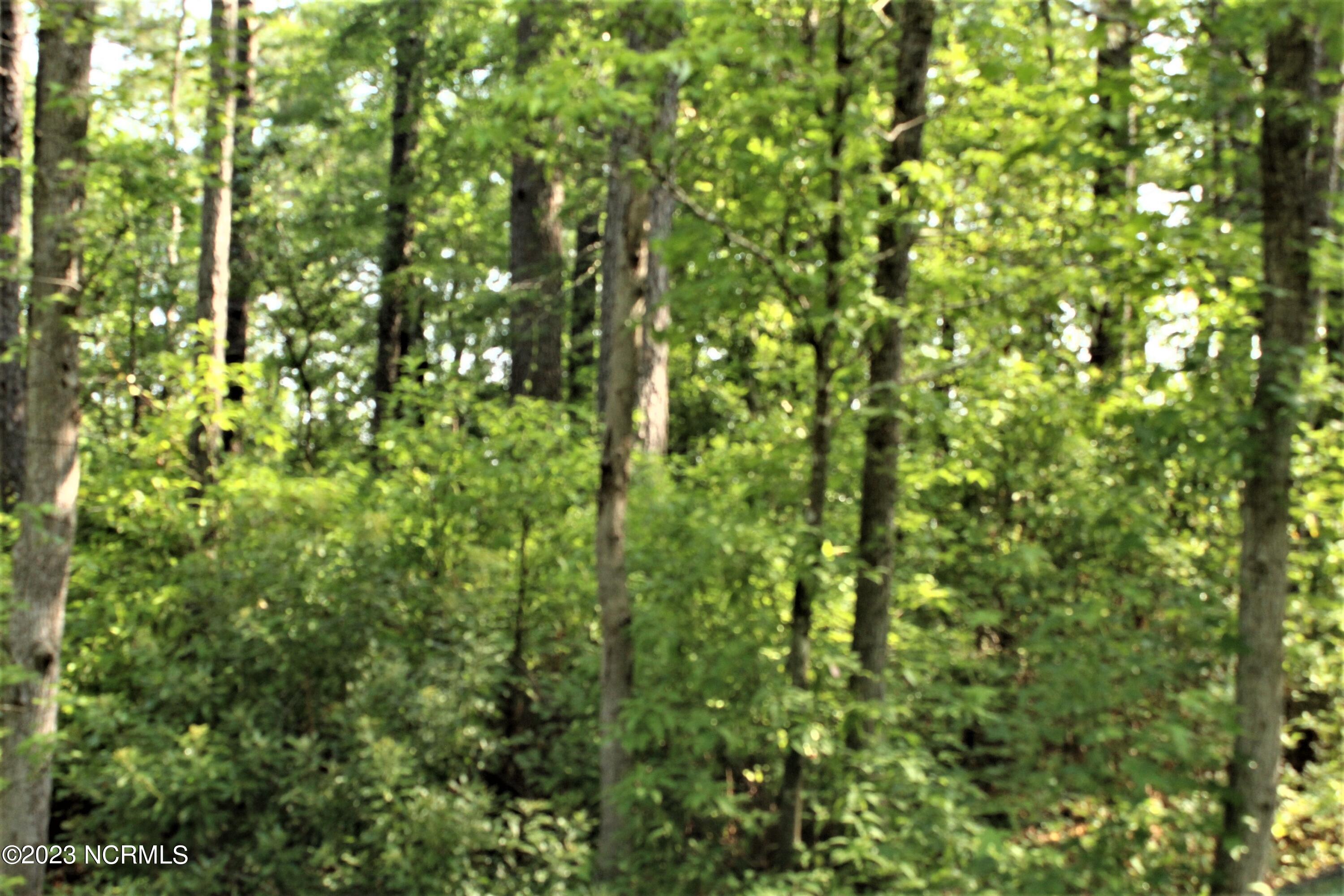 400 Sandlewood Drive Property Photo 1