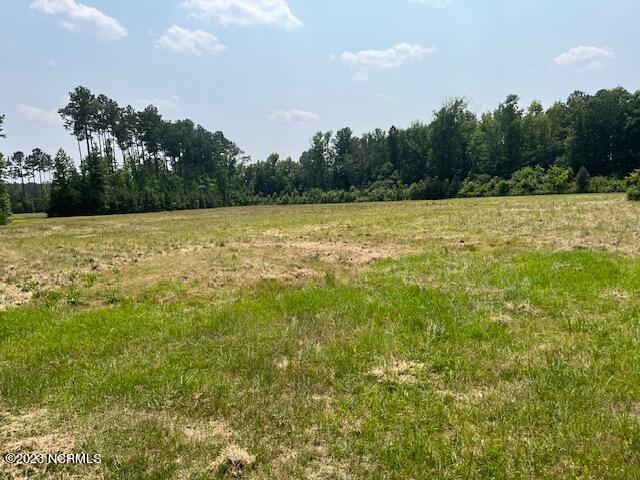 000 Beechwood Drive Property Photo 8