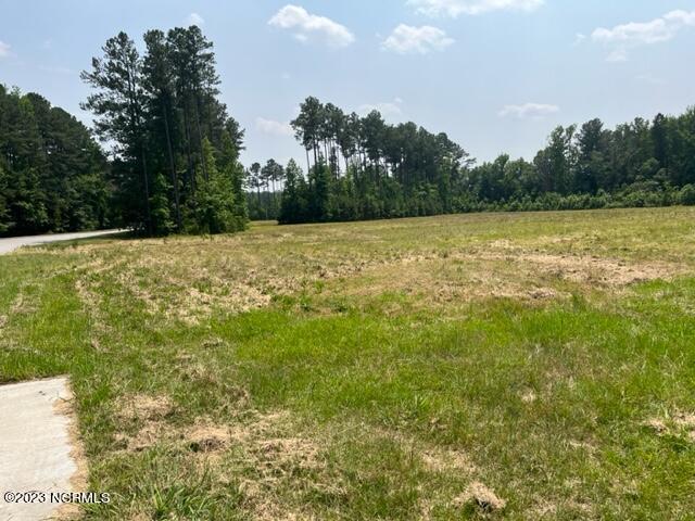 000 Beechwood Drive Property Photo 9