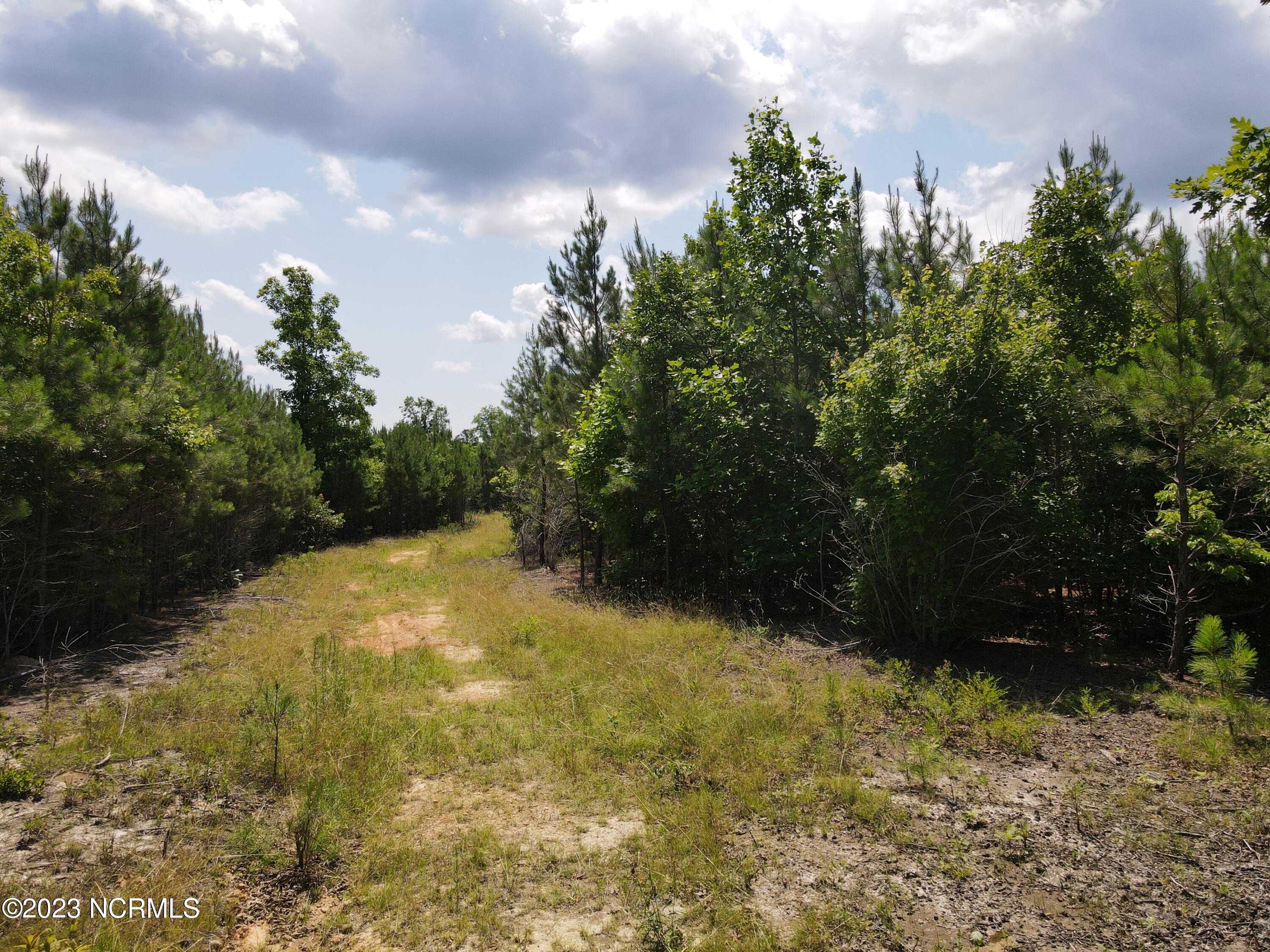 472 Eaton Ferry Road Property Photo 21
