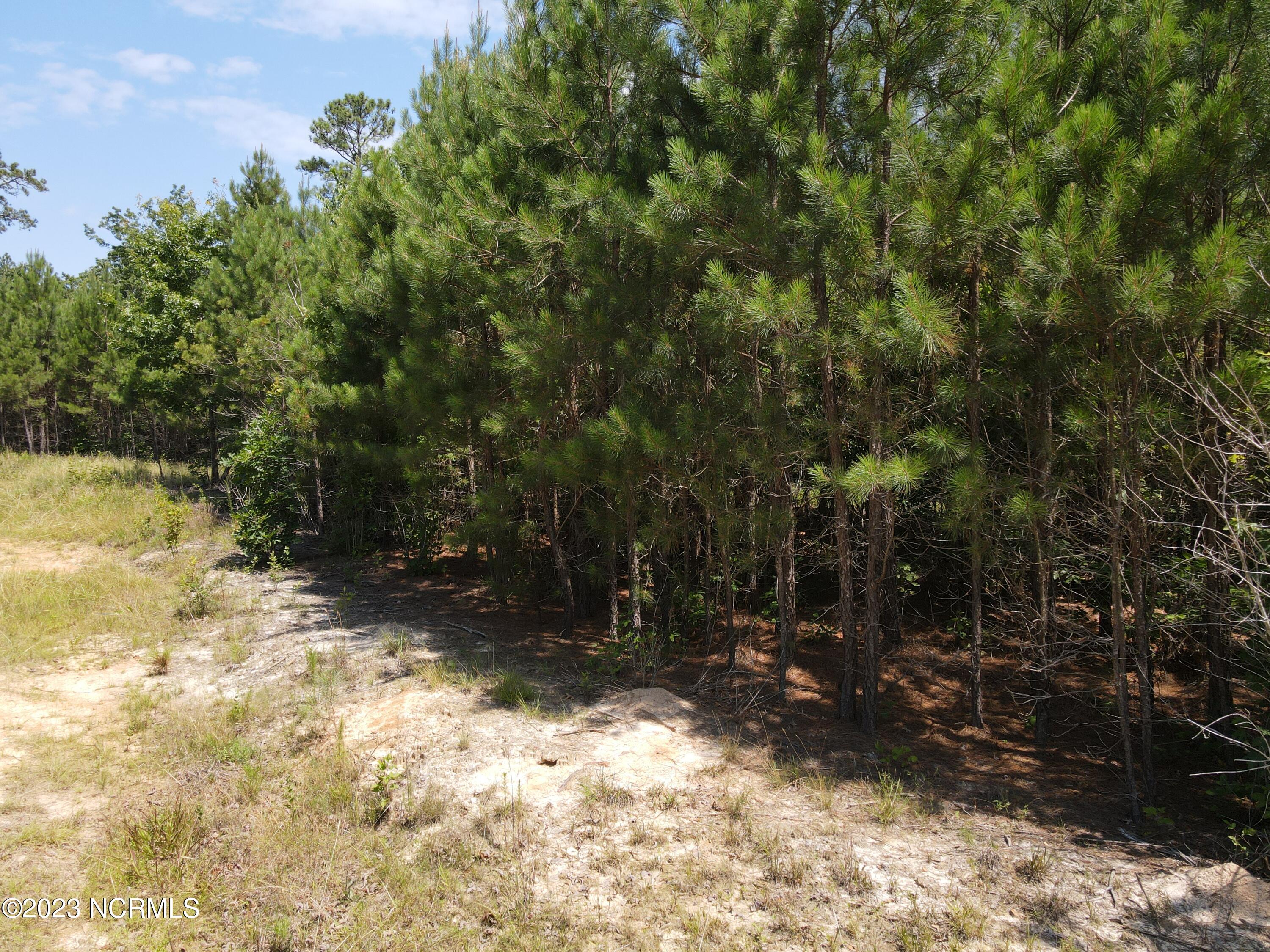 472 Eaton Ferry Road Property Photo 22