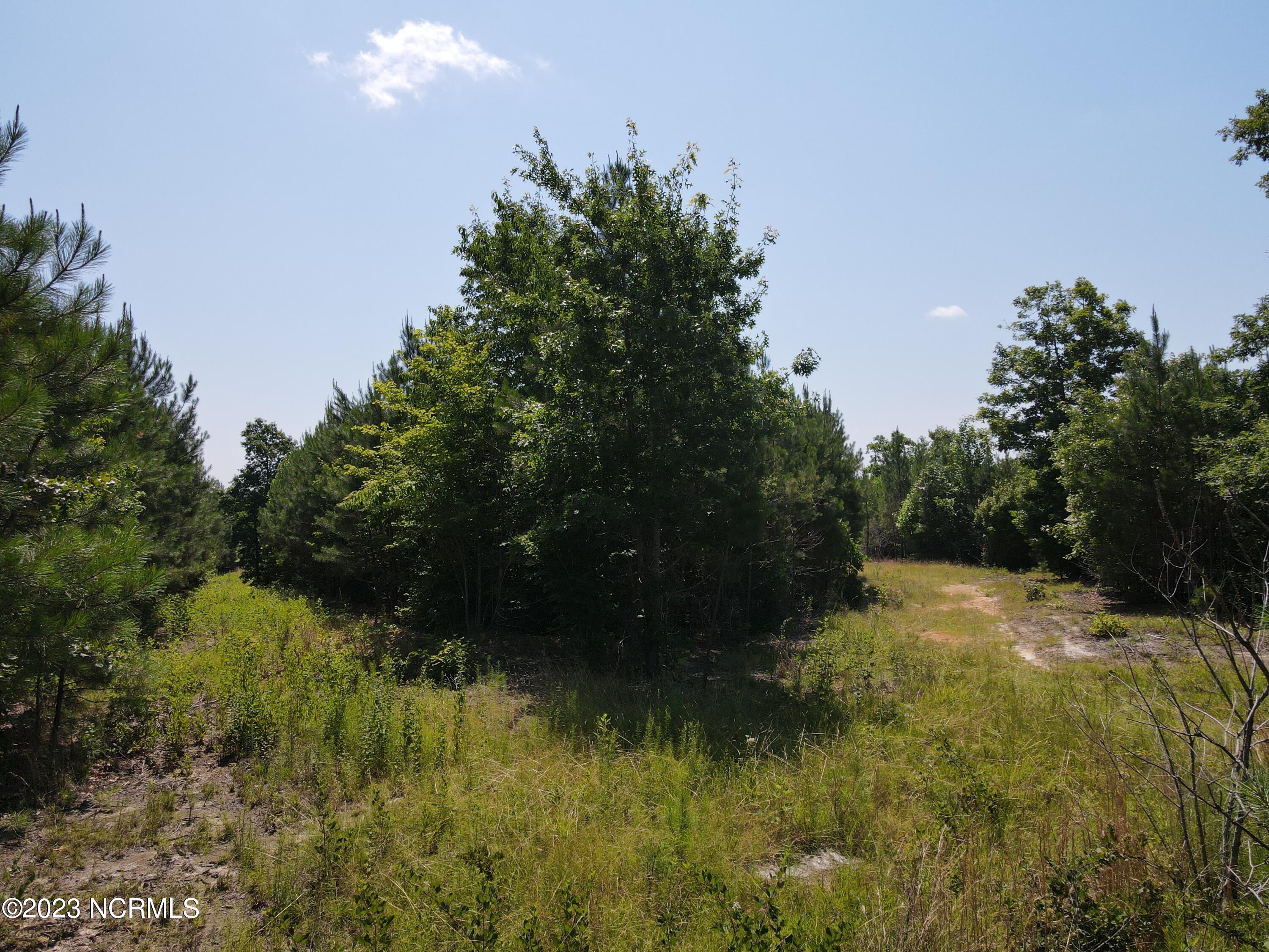 472 Eaton Ferry Road Property Photo 23