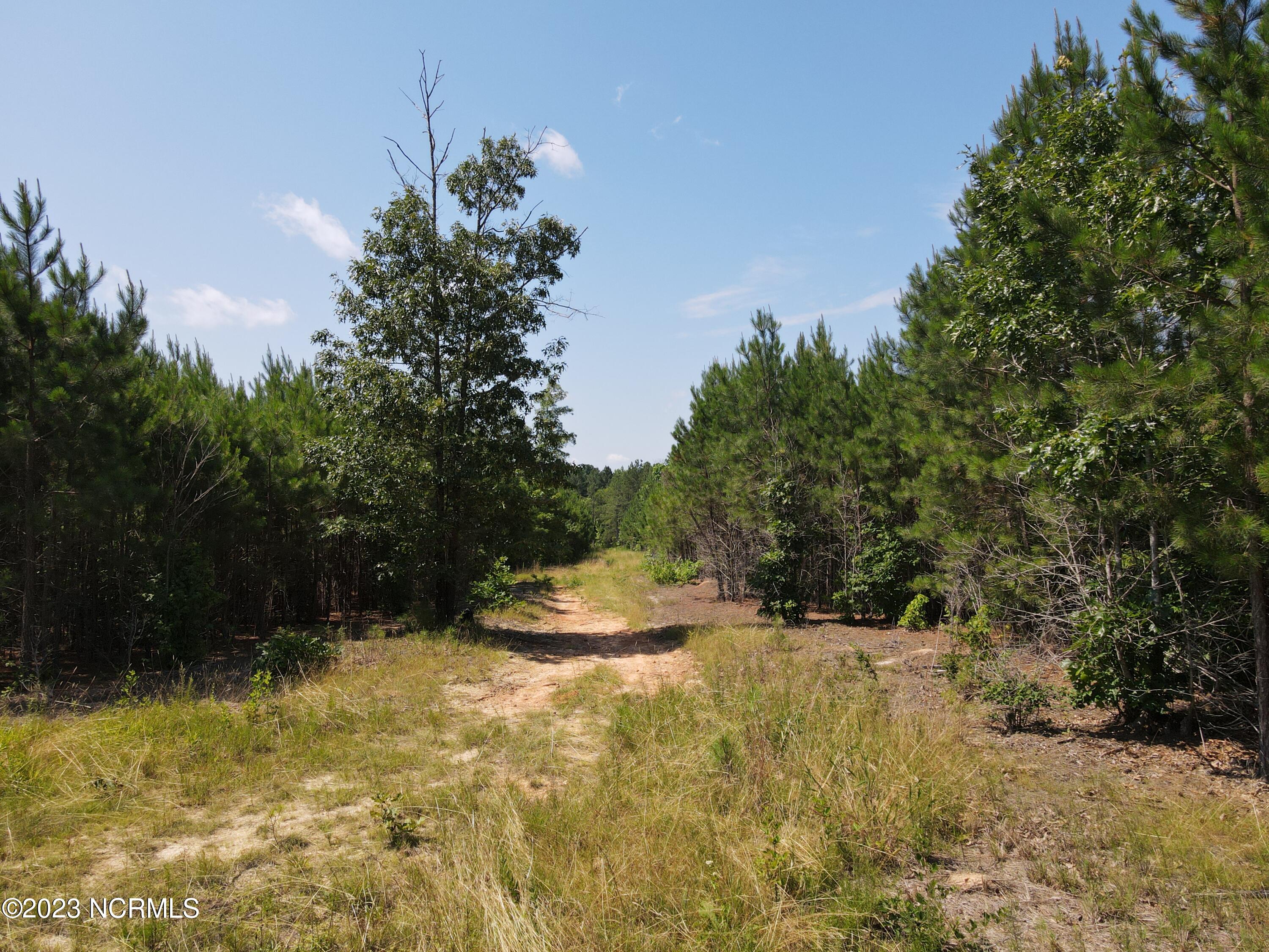 472 Eaton Ferry Road Property Photo 24