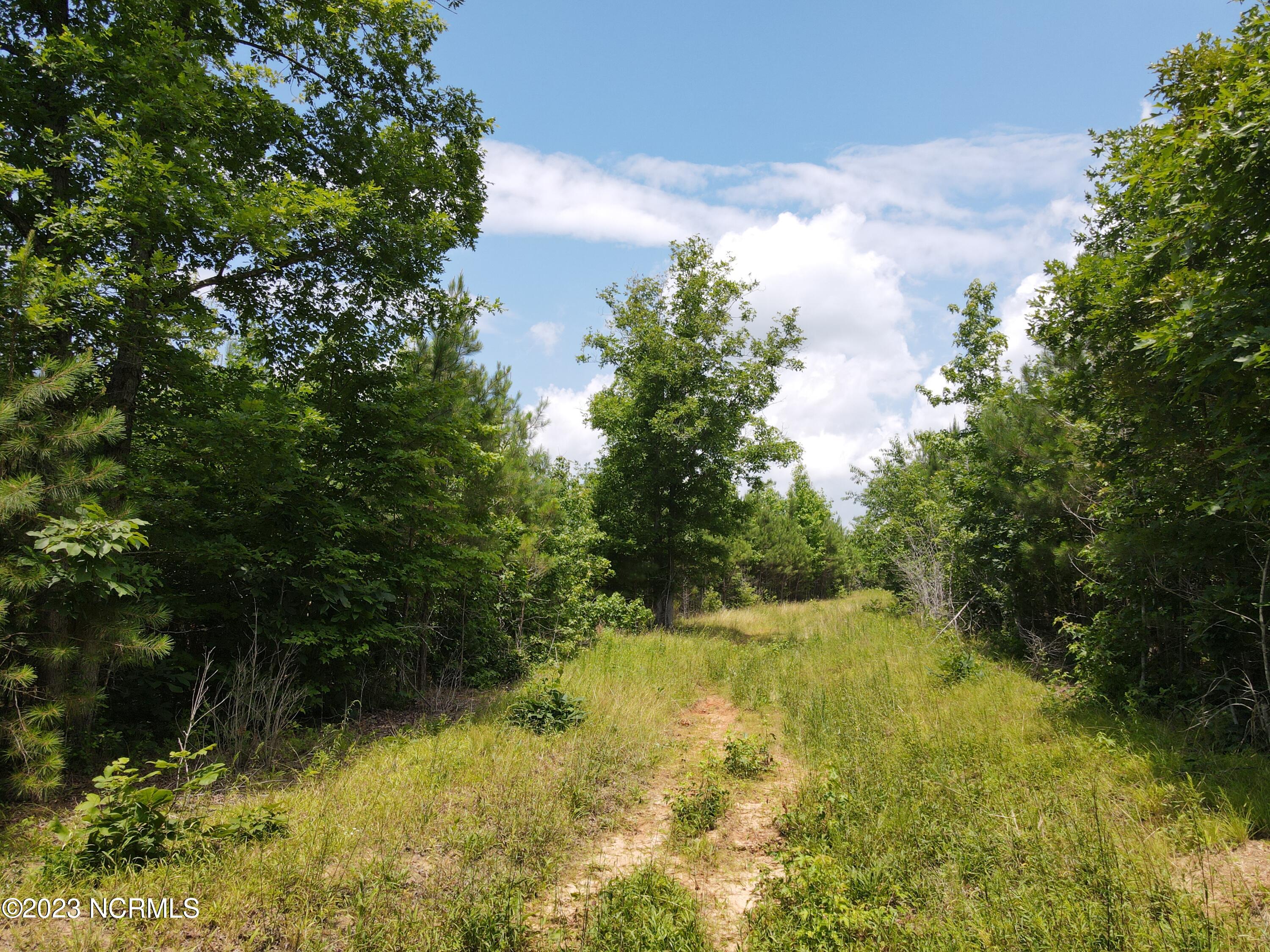 472 Eaton Ferry Road Property Photo 32
