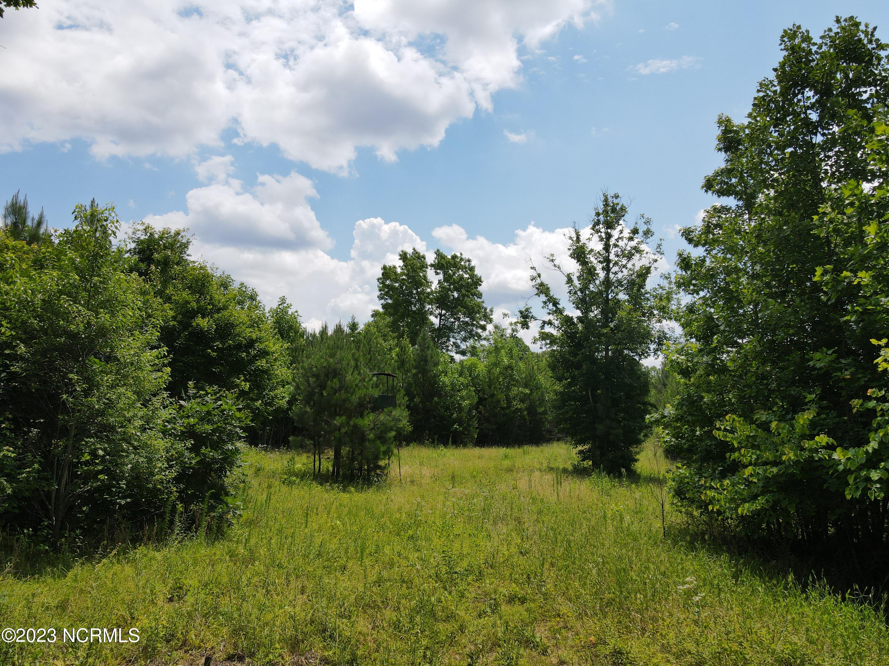 472 Eaton Ferry Road Property Photo 33