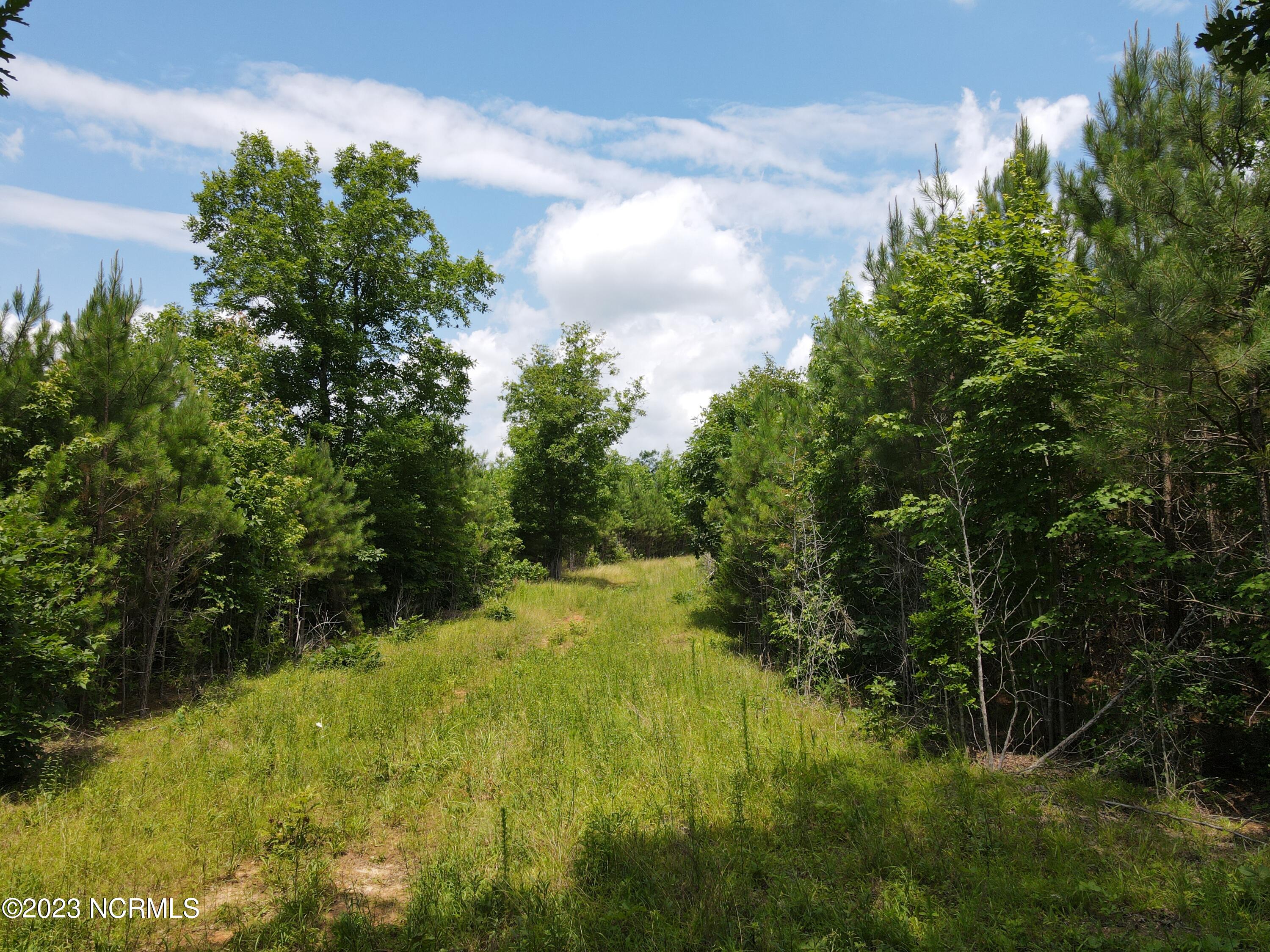 472 Eaton Ferry Road Property Photo 34