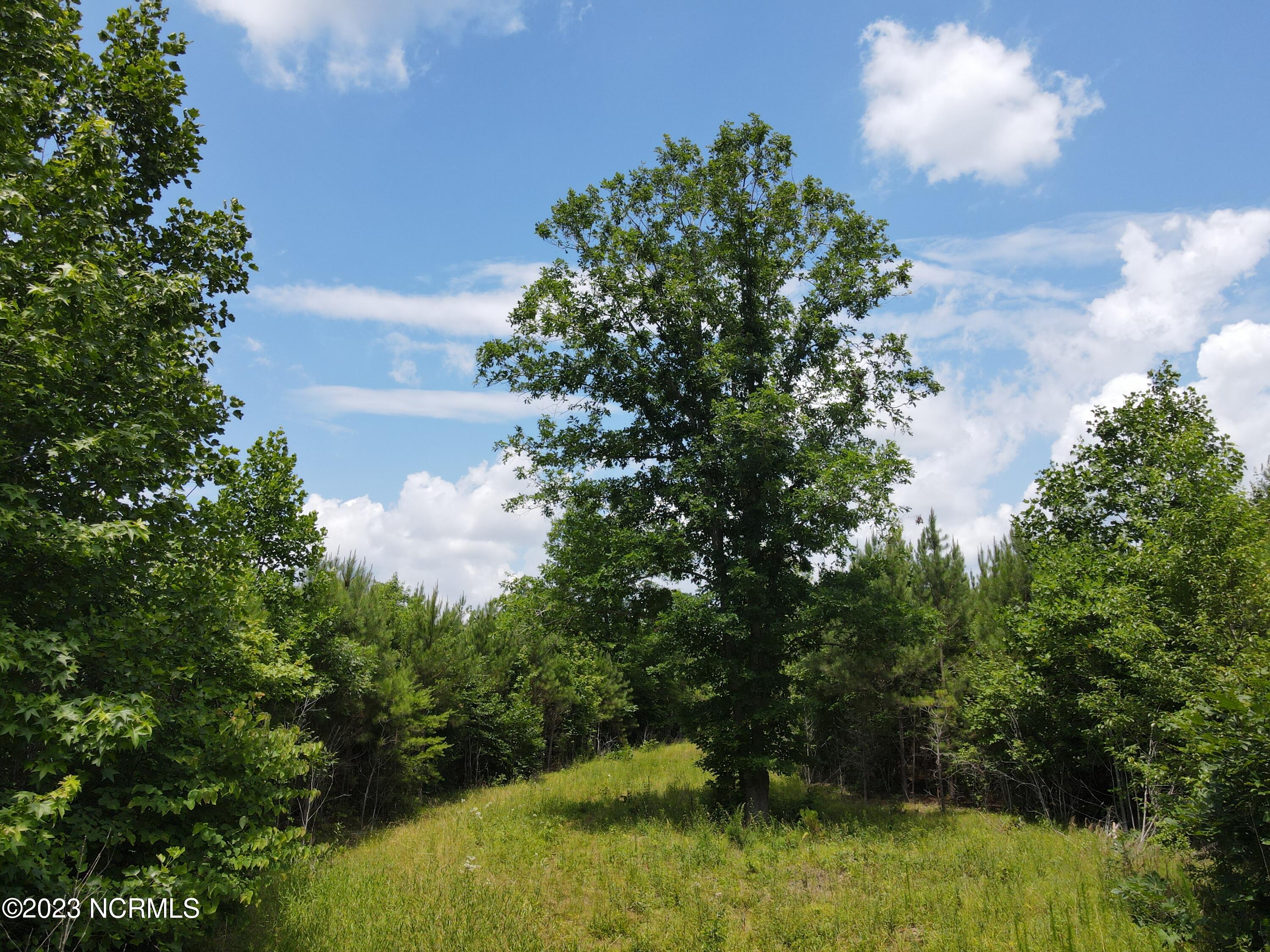 472 Eaton Ferry Road Property Photo 35