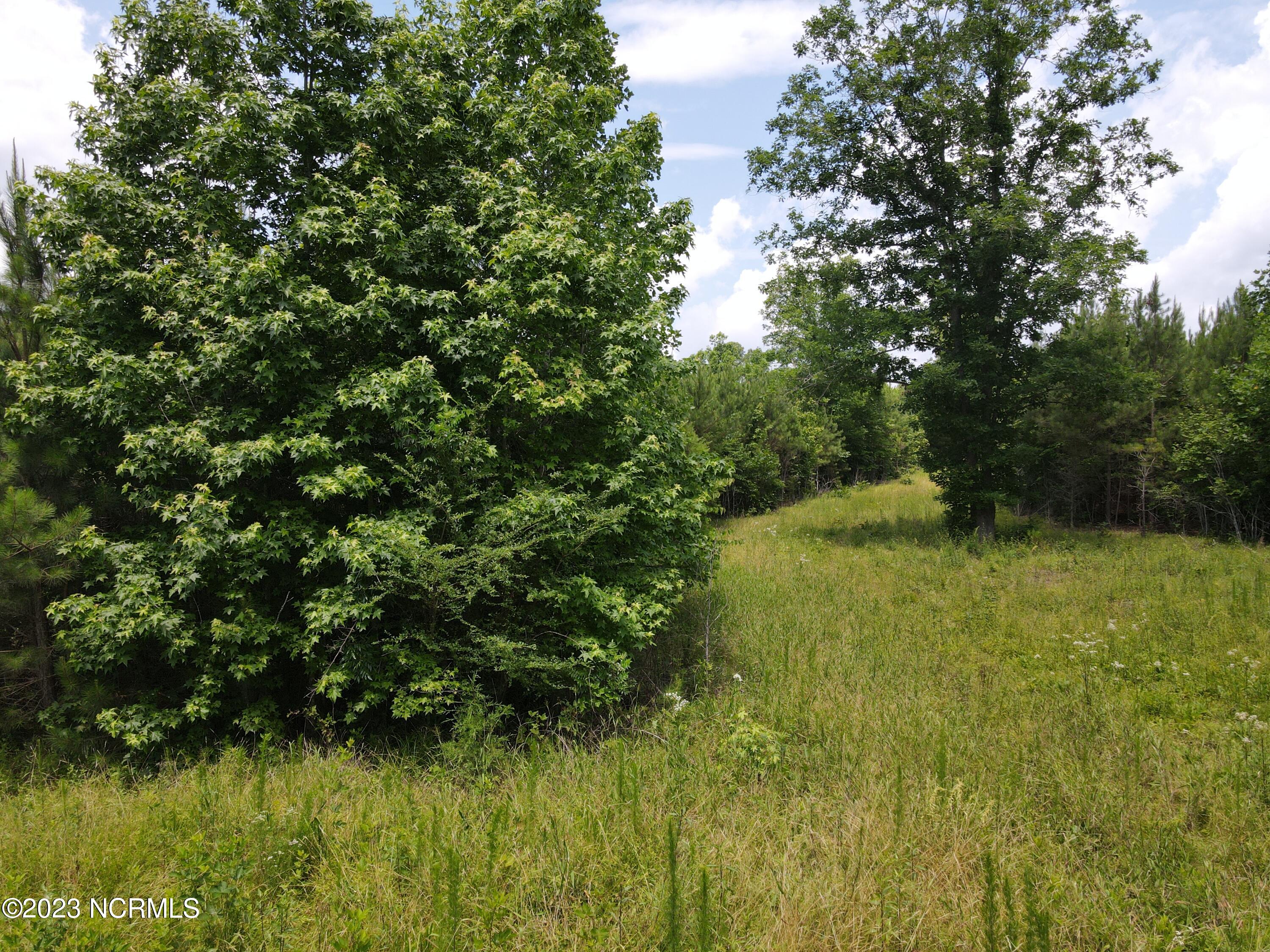 472 Eaton Ferry Road Property Photo 36